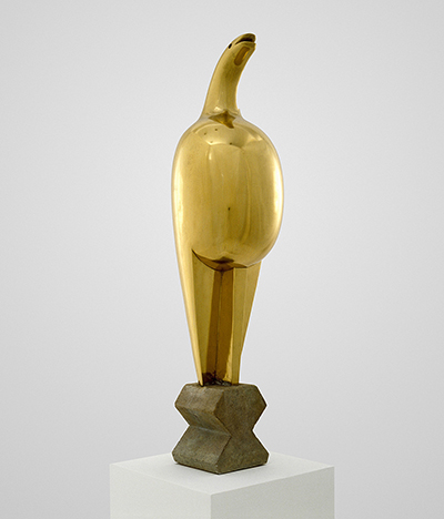 Maiastra Constantin Brancusi